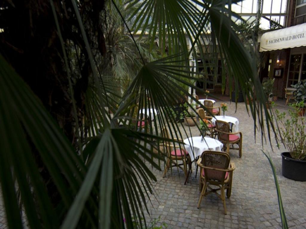 Sachsenwald Hotel Reinbek Kültér fotó